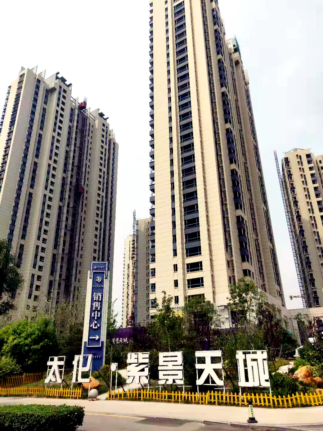 太化·紫景天城