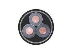 <em style='color:red'>NHYJV</em><em style='color:red'>23</em>交联聚乙烯绝缘钢带铠装耐火电力电缆图片