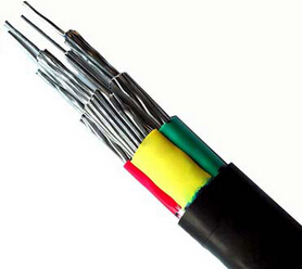 铝芯交联聚乙烯绝缘聚氯乙烯护套电缆图片