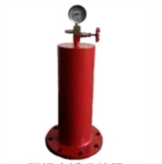 <em style='color:red'>碳钢水锤吸纳器</em>图片