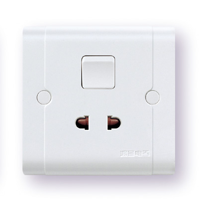 <em style='color:red'>带双路开关</em>、保护门<em style='color:red'>两极双用</em><em style='color:red'>插座</em>图片
