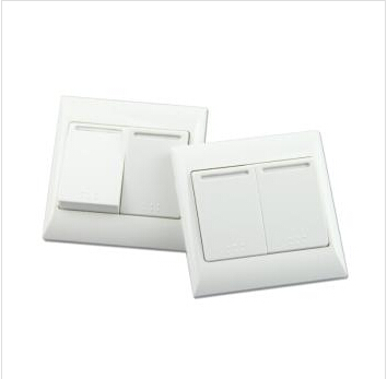 <em style='color:red'>大翘板</em><em style='color:red'>两位单极开关</em>图片