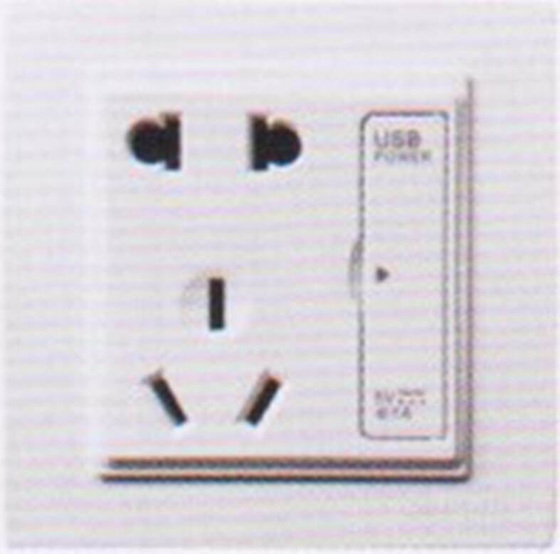 <em style='color:red'>五孔带二位</em><em style='color:red'>USB</em>插座图片