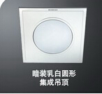 <em style='color:red'>集成</em>吊顶<em style='color:red'>厨卫灯</em>图片