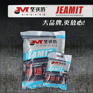 <em style='color:red'>快速</em><em style='color:red'>堵漏王</em>图片