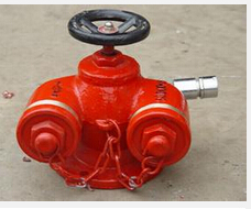 <em style='color:red'>微型</em><em style='color:red'>水泵接合器</em>图片