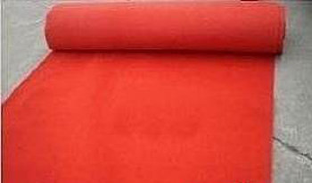 <em style='color:red'>红地毯</em>图片