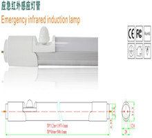 <em style='color:red'>应急</em><em style='color:red'>红外感应灯管</em>图片