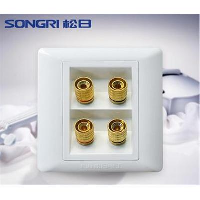 <em style='color:red'>双联</em><em style='color:red'>音响插座</em>图片