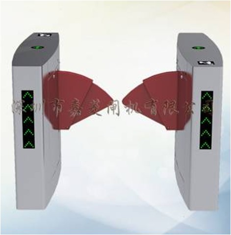 豪华船形<em style='color:red'>翼</em><em style='color:red'>中翼</em>图片