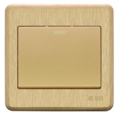 一位<em style='color:red'>双控</em><em style='color:red'>大跷板开关</em>图片