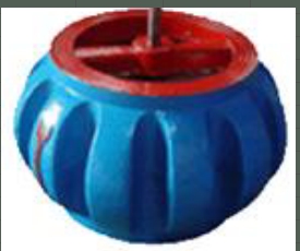 <em style='color:red'>对夹式</em><em style='color:red'>止回阀</em>(<em style='color:red'>南瓜型</em>)图片