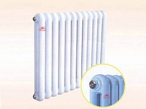 <em style='color:red'>一体</em>圆<em style='color:red'>片头</em><em style='color:red'>钢制散热器</em>图片