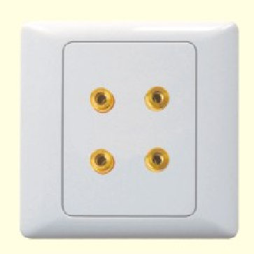 <em style='color:red'>四孔</em><em style='color:red'>音响插座</em>图片
