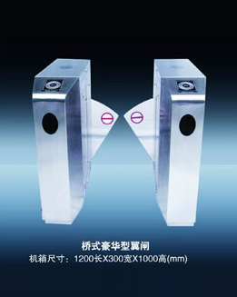<em style='color:red'>桥式</em><em style='color:red'>翼闸</em>图片