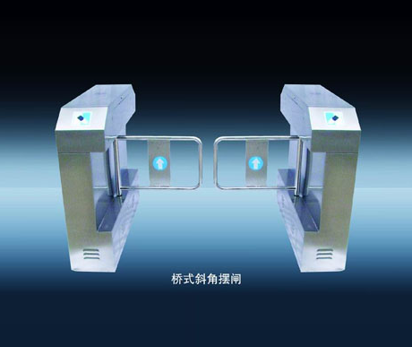 <em style='color:red'>桥式</em><em style='color:red'>摆闸</em>图片