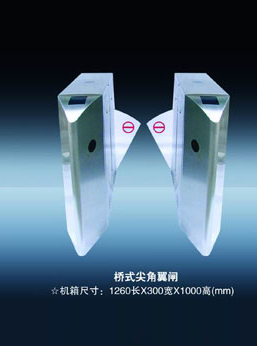 <em style='color:red'>桥式</em><em style='color:red'>翼闸</em>图片