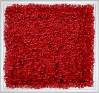 米兰<em style='color:red'>仿真植物</em><em style='color:red'>墙</em>图片