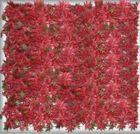 红枫叶<em style='color:red'>仿真植物</em>图片