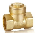 <em style='color:red'>锁式</em><em style='color:red'>截止</em><em style='color:red'>止回阀</em>图片