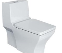 <em style='color:red'>分体</em><em style='color:red'>座厕</em>图片