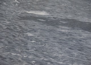 <em style='color:red'>流星雨</em>大理石图片