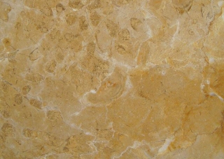 布<em style='color:red'>朗</em>金大理石图片