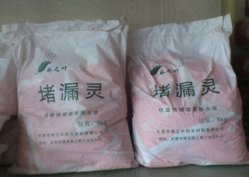 <em style='color:red'>堵漏王</em>图片