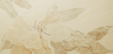 <em style='color:red'>珠光</em><em style='color:red'>沙岩</em><em style='color:red'>花砖</em>2图片