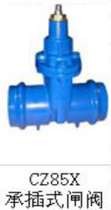 <em style='color:red'>承插式</em><em style='color:red'>闸阀</em>图片