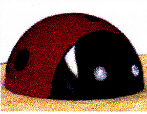 <em style='color:red'>互动</em><em style='color:red'>瓢虫</em>直径图片
