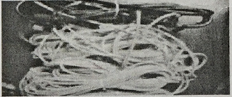 硅胶<em style='color:red'>碳纤维</em><em style='color:red'>发热电缆</em>图片