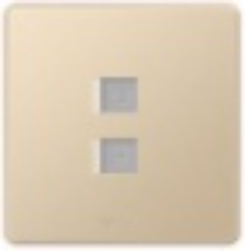 <em style='color:red'>带保护门</em><em style='color:red'>双联</em><em style='color:red'>电话插座</em>图片