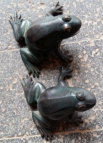 <em style='color:red'>青蛙</em>圖片