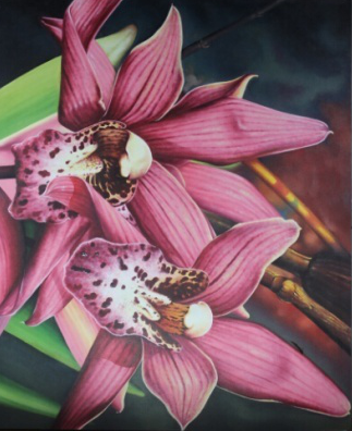 竹<em style='color:red'>木</em><em style='color:red'>红花</em>图片