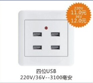 <em style='color:red'>USB</em><em style='color:red'>充电插座</em>图片