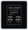 <em style='color:red'>USB</em><em style='color:red'>充电插座</em>图片
