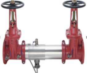 <em style='color:red'>不锈钢</em><em style='color:red'>双</em><em style='color:red'>止回阀</em>图片