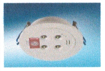 <em style='color:red'>T1</em><em style='color:red'>应急筒灯</em>图片