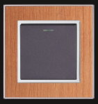 <em style='color:red'>一位</em><em style='color:red'>多控开关</em>图片