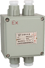 <em style='color:red'>防爆</em><em style='color:red'>接线端子箱</em>图片