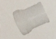 PVC-U<em style='color:red'>带丝</em><em style='color:red'>伸缩节</em>图片