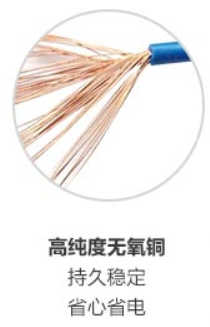 <em style='color:red'>红叶</em><em style='color:red'>电线</em>图片