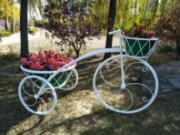 <em style='color:red'>立体</em><em style='color:red'>花架</em>图片
