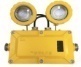<em style='color:red'>LED</em><em style='color:red'>防爆标志灯</em>图片