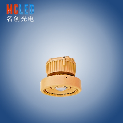 <em style='color:red'>防爆灯</em>图片