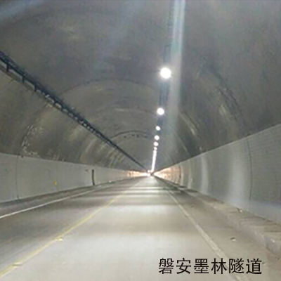 <em style='color:red'>防爆灯</em>图片