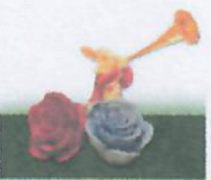 花<em style='color:red'>兔子</em>图片