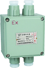 <em style='color:red'>防爆</em><em style='color:red'>接线端子箱</em>图片