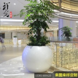 圓形<em style='color:red'>花缽</em>圖片